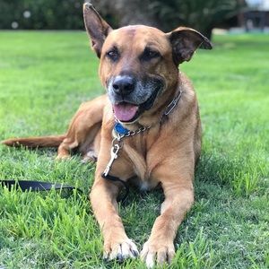 Meet your Posher, Jasmine